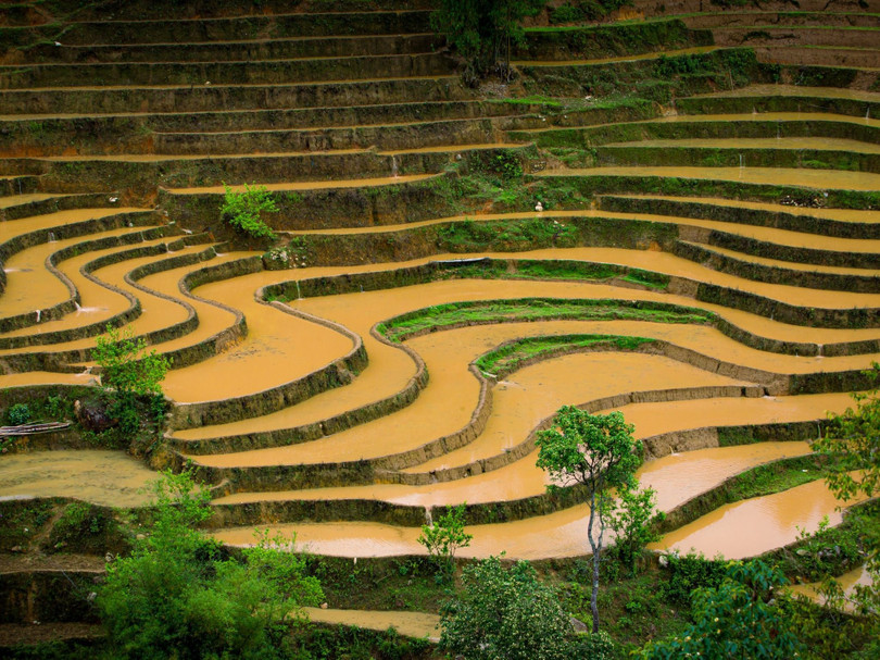Ngoài Mù Cang Chải, mùa nước đổ còn hiện diện rõ nét tại nhiều vùng cao Tây Bắc khác như Hoàng Su Phì (Hà Giang), Y Tý, Sa Pa và Bát Xát (Lào Cai). Mỗi nơi mang một sắc thái riêng, song điểm chung lớn nhất của các địa phương này là vẻ đẹp mộc mạc, sống động mà mùa nước đổ mang lại.
