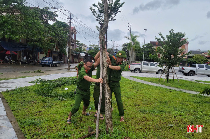 ...dựng, trồng lại cây xanh ở công viên trung tâm và trên các tuyến đường. bqbht_br_a3-7953.jpg