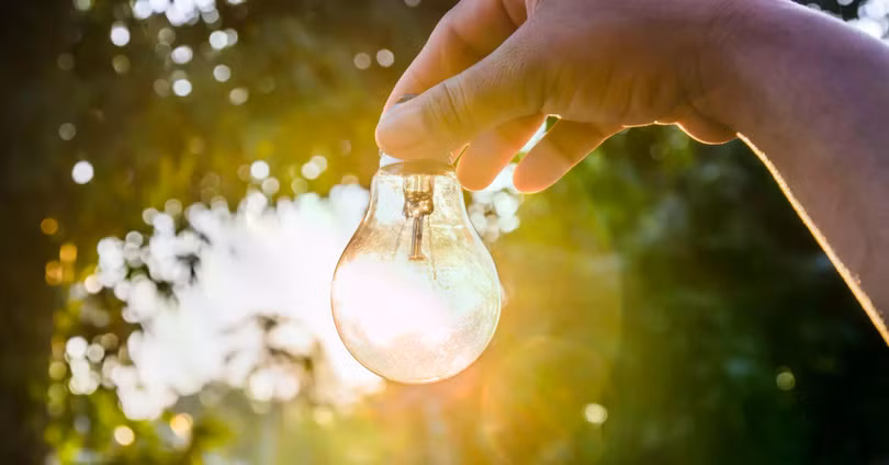 Đón ánh sáng tự nhiên là cách hiệu quả nhất để chống lại ánh sáng xanh vào ban đêm. Ảnh: British Council.