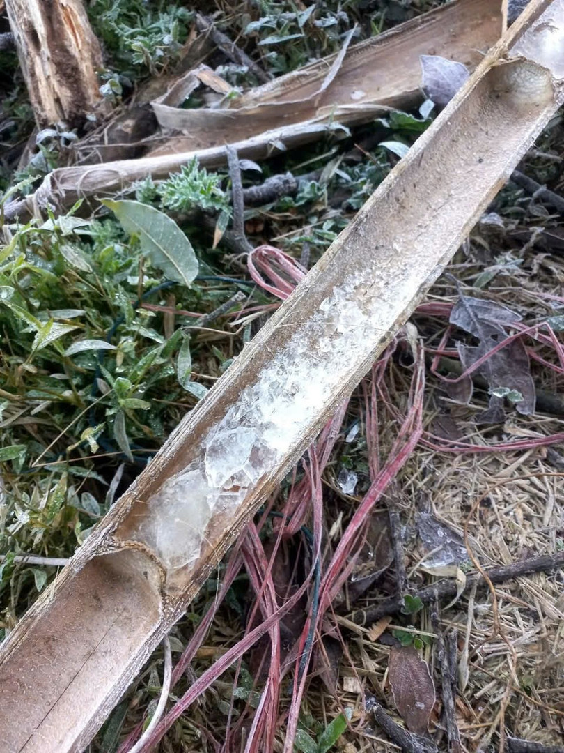 Những vệt nước đọng lại đã đóng thành băng.