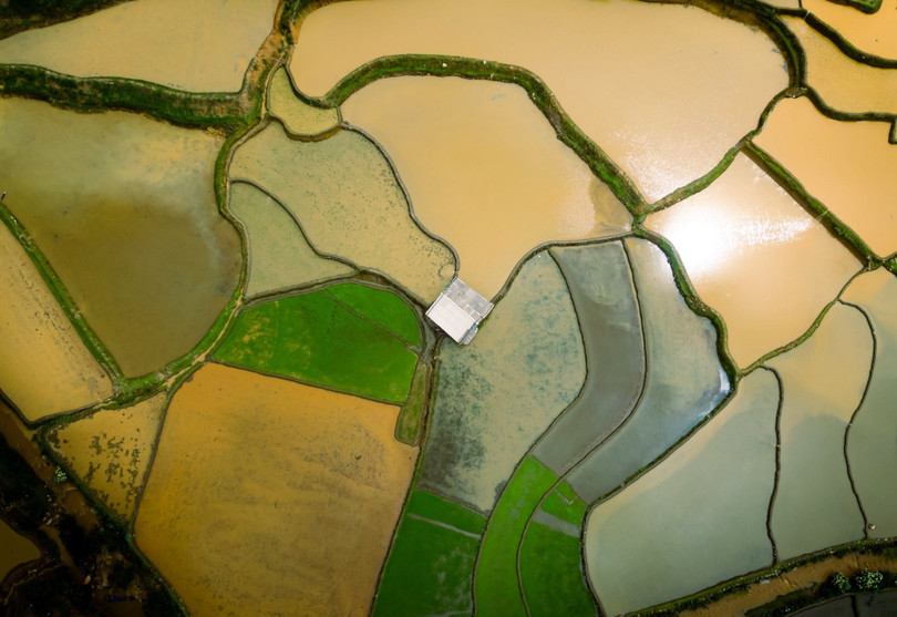 Nước từ trên núi cao len lỏi qua từng thửa ruộng bậc thang, phủ một lớp gương lấp lánh dưới ánh mặt trời. Màu nâu của đất quyện với màu xanh non của cây cối, tiếng nước róc rách hòa với tiếng lao động của người dân địa phương tạo nên một bức tranh vừa sống động vừa yên ả.