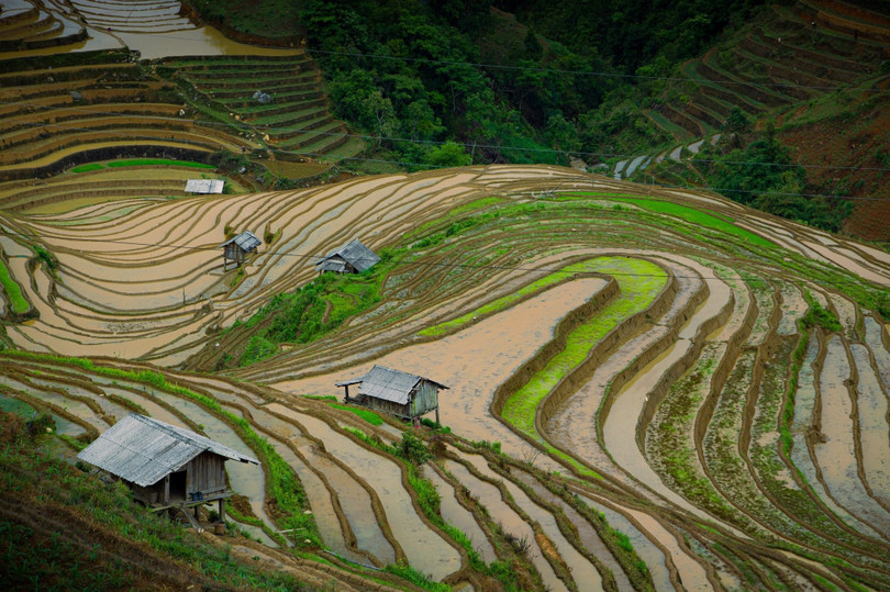 Mùa nước đổ không rực rỡ như mùa lúa chín, không rộn ràng như mùa lễ hội, nhưng lại mang đến một vẻ đẹp thuần khiết và yên bình.