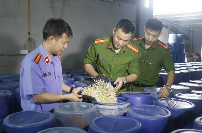 Lực lượng chức năng kiểm tra cơ sở sản xuất giá đỗ ngâm hóa chất ở thành phố Vinh, Nghệ An