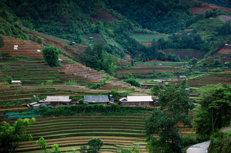 Những thửa ruộng không chỉ phục vụ sản xuất mà còn trở thành nét đặc trưng cảnh quan của vùng cao Tây Bắc.