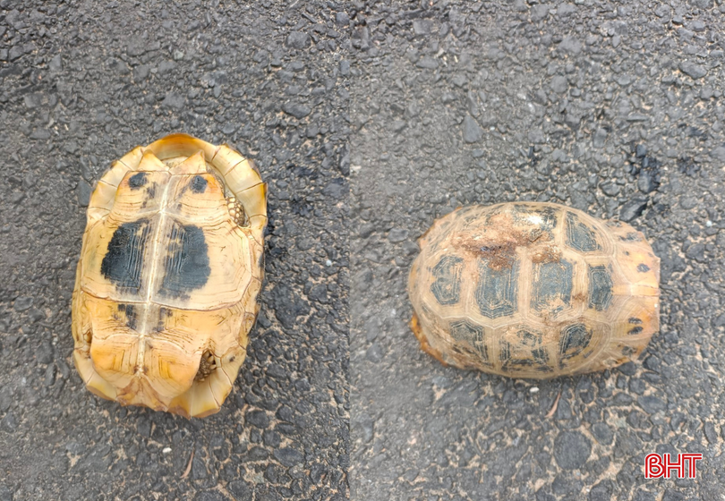 Thiết kế chưa có tên.png