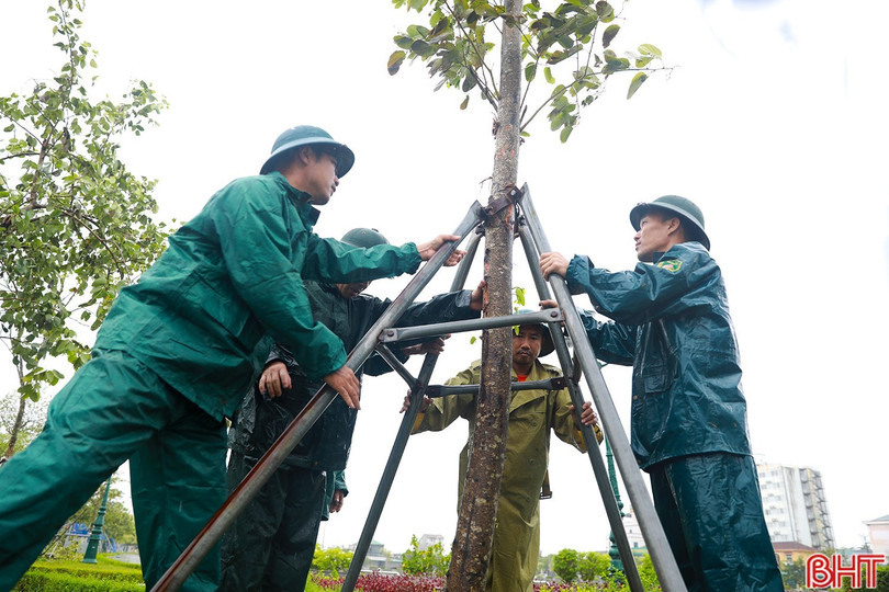 Lực lượng của Ban Chỉ huy phòng thủ Khu vực 3 - Kỳ Anh (cơ sở 2) đã có mặt tại các điểm cây bị gãy đổ ở phường Sông Trí để chống đỡ, cắt dọn, phát quang. a3.jpg