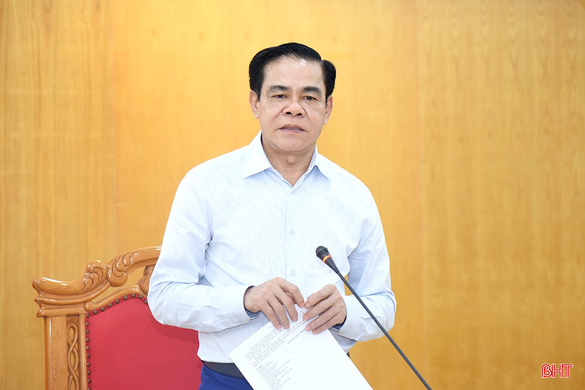 Phó Bí thư Tỉnh ủy, Chủ tịch UBND tỉnh Võ Trọng Hải phát biểu tại cuộc họp. bqbht_br_dsc-8071-copy.jpg