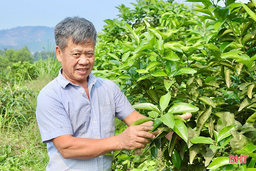 Ông Trần Văn Hoàn bqbht_br_ad.jpg