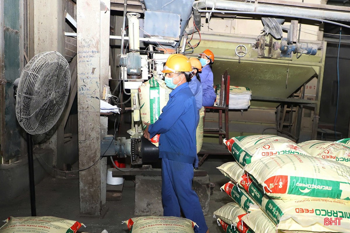 Các đơn vị trực thuộc Tổng Công ty Khoáng sản và Thương Mại Hà Tĩnh đang đẩy mạnh sản xuất kinh doanh, hoàn thành các chỉ tiêu đề ra. bqbht_br_d1.jpg