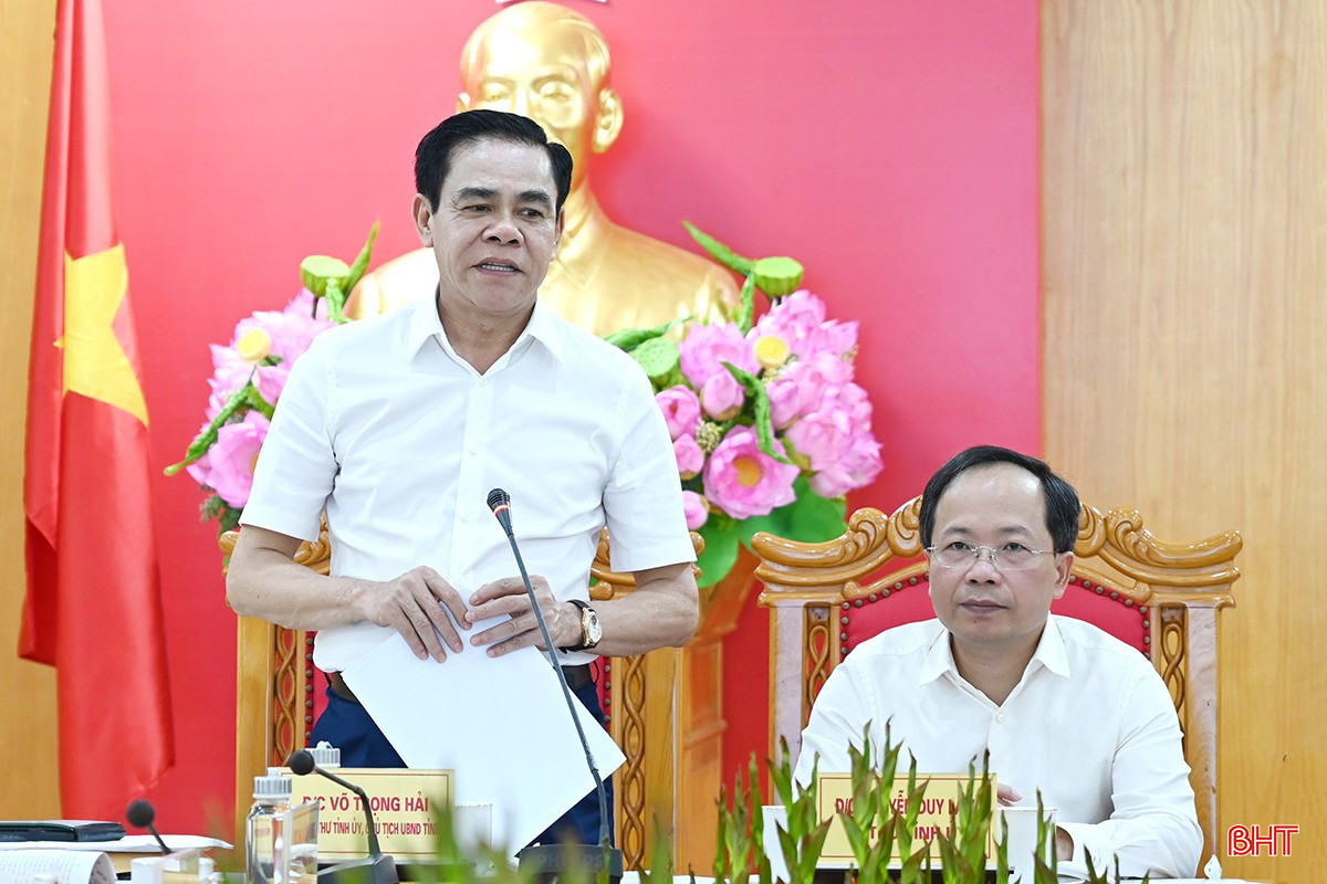 Chủ tịch UBND tỉnh Võ Trọng Hải kết luận cuộc họp. bqbht_br_dsc-5493-copy.jpg