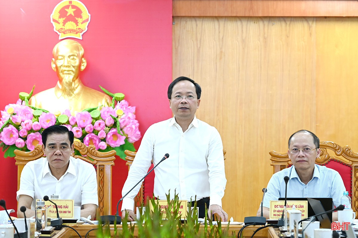 Bí thư Tỉnh ủy Nguyễn Duy Lâm phát biểu chỉ đạo tại cuộc họp. bqbht_br_dsc-5480-copy.jpg