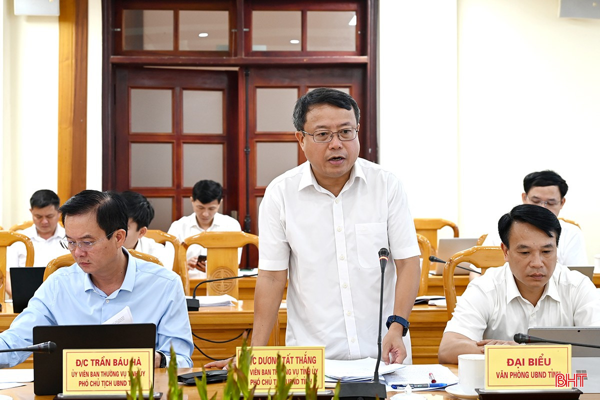 Phó Chủ tịch UBND tỉnh Dương Tất Thắng góp ý nội dung tại cuộc họp. bqbht_br_dsc-5466-copy.jpg