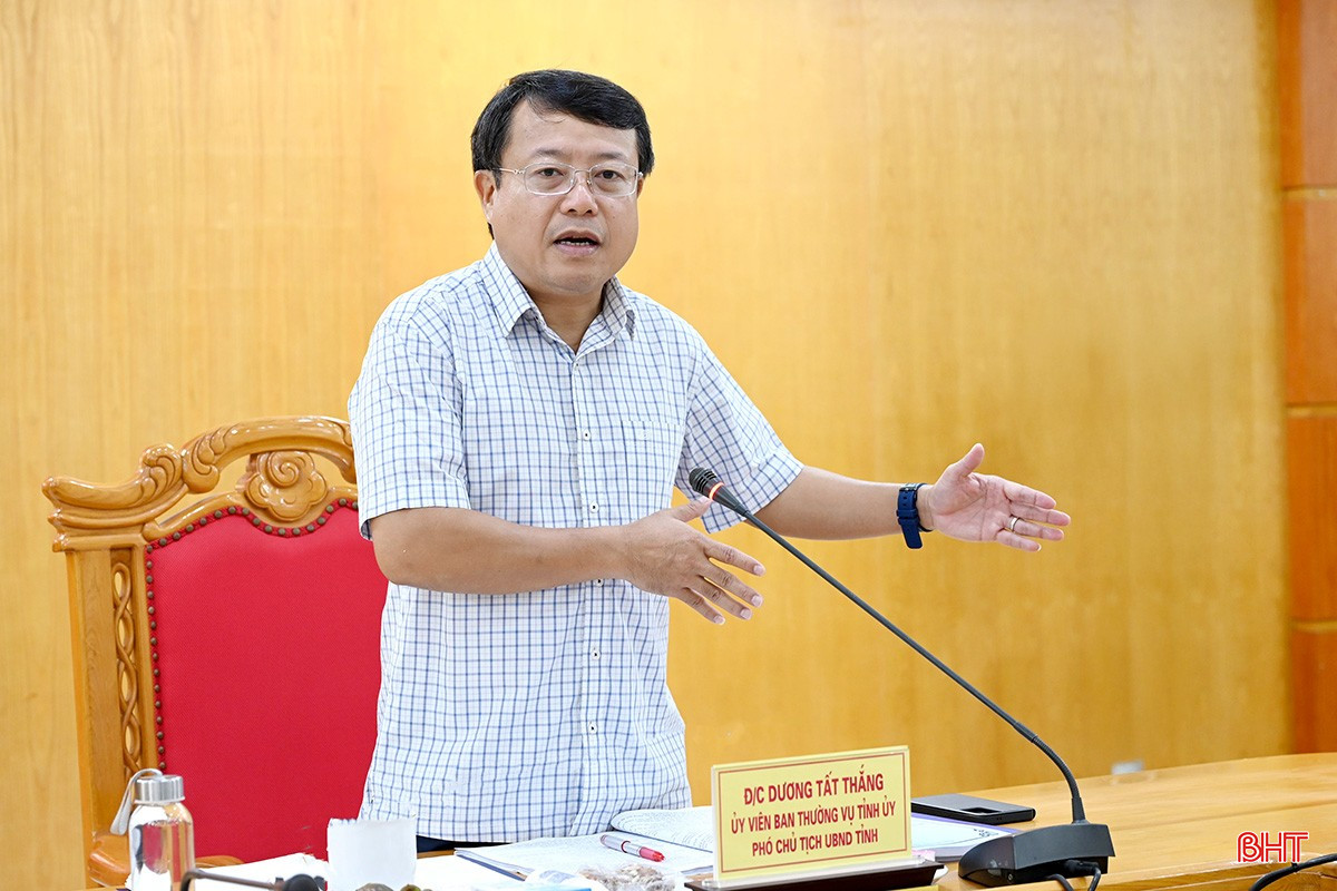 Đồng chí Dương Tất Thắng - Ủy viên Ban Thường vụ Tỉnh ủy, Phó Chủ tịch UBND tỉnh phát biểu kết luận. bqbht_br_dsc-88fd25.jpg
