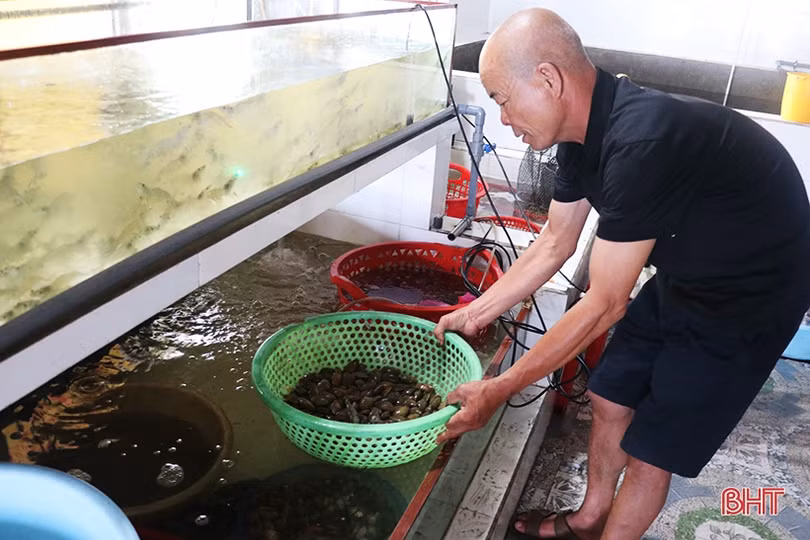 Đề nghị dừng khai thác sắt Thạch Khê để người dân vùng moong mỏ an cư lạc nghiệp