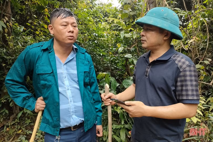 Chấn chỉnh tình trạng khai thác gỗ rừng trái phép ở Hương Khê