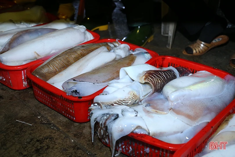 Vượt khó bám biển, ngư dân Hà Tĩnh thu hơn 870 tỷ đồng từ vụ cá Bắc