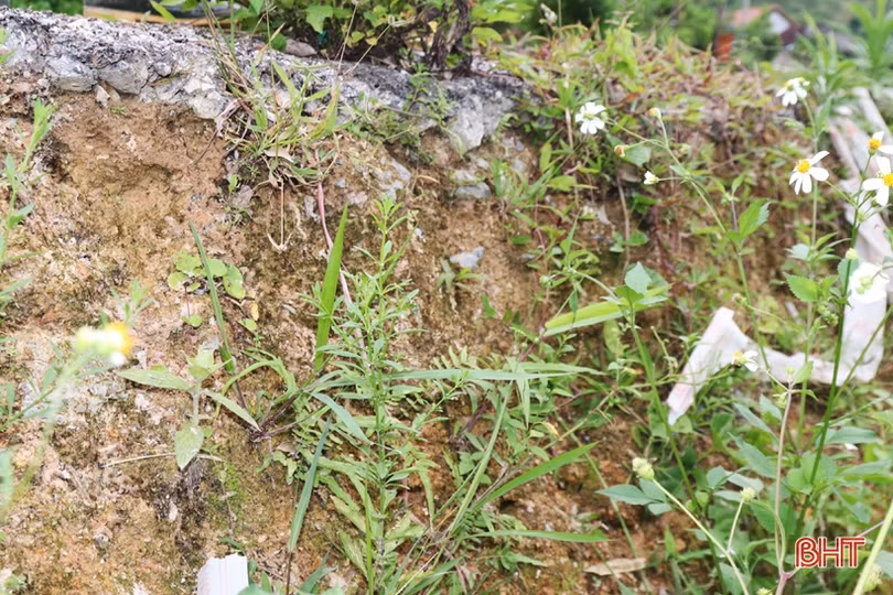 Hơn 3 năm, chưa khắc phục điểm sạt lở trên đường trục xã ở Vũ Quang