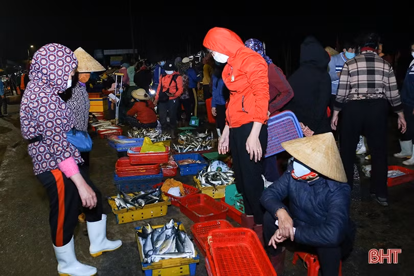 Vượt khó bám biển, ngư dân Hà Tĩnh thu hơn 870 tỷ đồng từ vụ cá Bắc