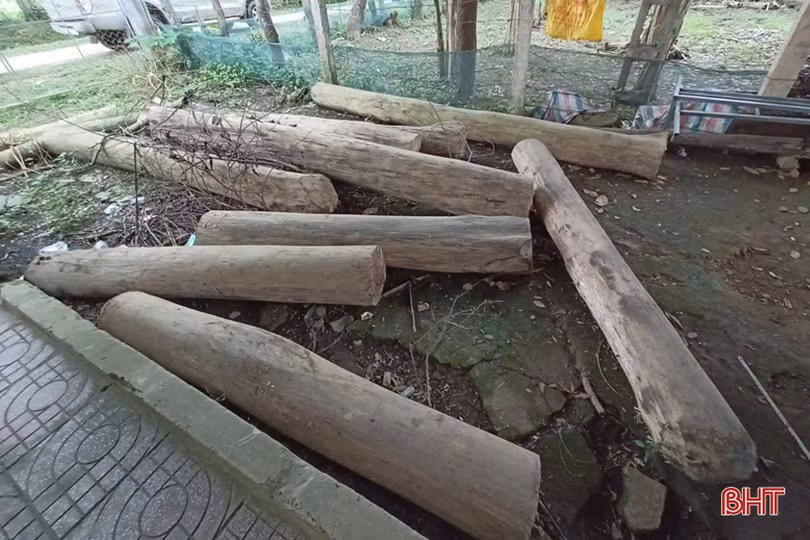 Chấn chỉnh tình trạng khai thác gỗ rừng trái phép ở Hương Khê