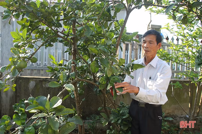 Những hạt nhân tiêu biểu xây dựng đời sống văn hóa cơ sở ở Hà Tĩnh