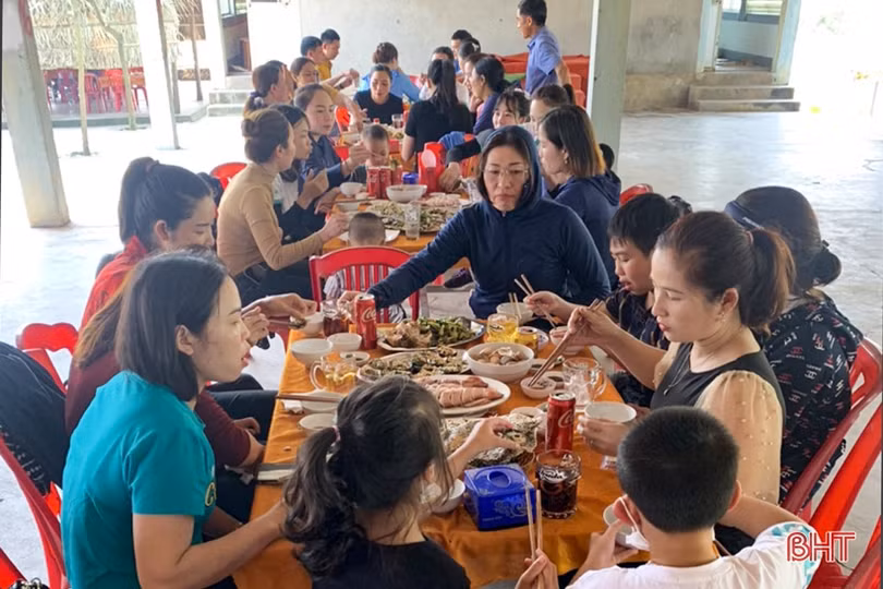 Nhà hàng ở Kỳ Xuân nuôi mực nhảy số lượng lớn phục vụ thực khách