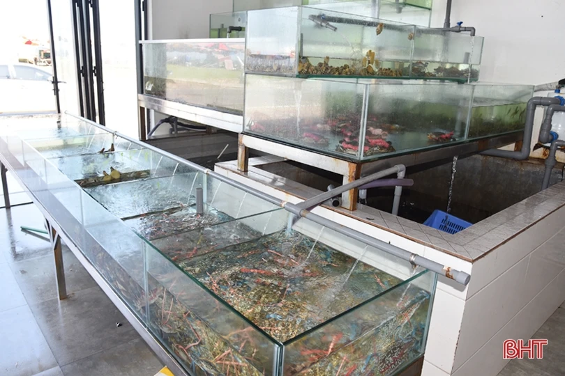 Phố biển Lộc Hà rộn ràng trước ngày khai trương mùa du lịch mới