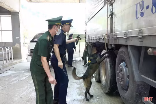 Lực lượng biên phòng đấu tranh 51 chuyên án, bắt giữ 5.690 vụ trong đợt ra quân cao điểm