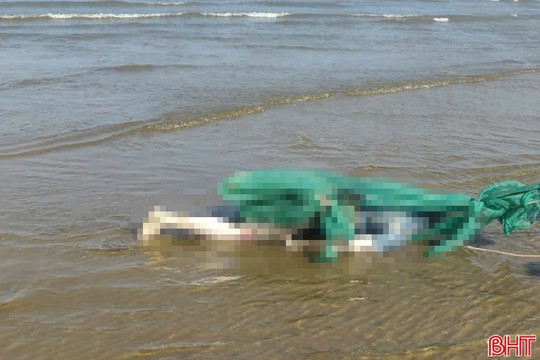 Phát hiện thi thể đàn ông trên bờ biển Lộc Hà