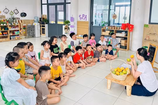 Đề xuất trợ cấp cho giáo viên mầm non đã nghỉ công tác chưa được hưởng chế độ