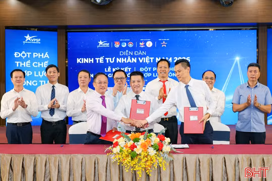 Thúc đẩy khởi nghiệp, đổi mới sáng tạo, phát triển kinh tế tư nhân thực chất và bền vững