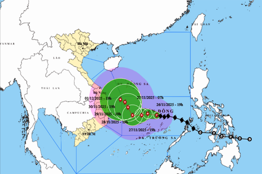 Bão số 15 gây gió giật cấp 14