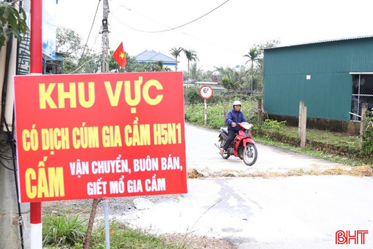 Ráo riết phòng chống dịch cúm gia cầm H5N1 từ “ổ dịch” Cẩm Xuyên