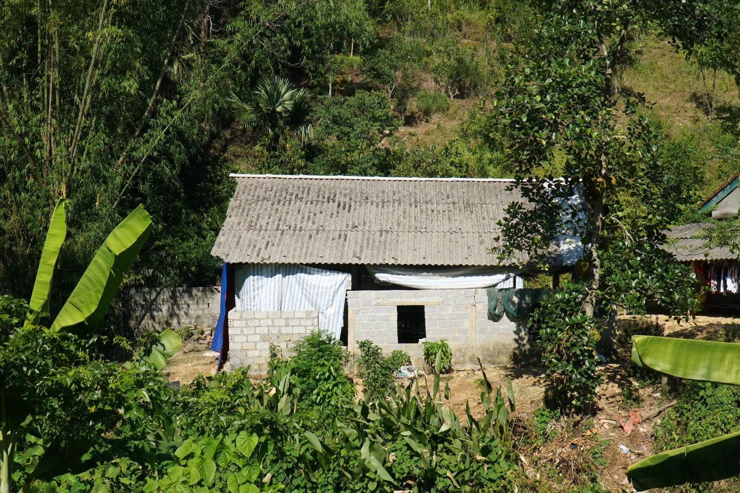 vu-quang-3.jpg