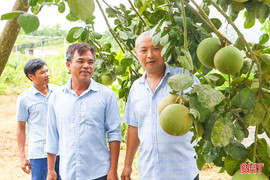 Cựu lính Trường Sa hồi sinh vùng "đất chết"