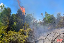 Huy động hơn 200 người dập tắt đám cháy rừng ở Lộc Hà