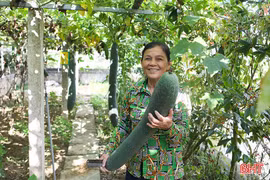 Sáng kiến trong xây dựng NTM ở Hà Tĩnh tiếp tục phát huy ý nghĩa