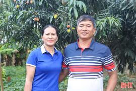 Cải tạo vườn hoang thành mô hình kinh tế trù phú 