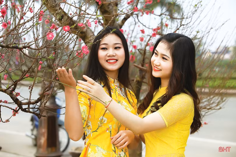 Khi thành phố lên đèn…