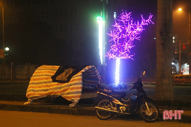 Trắng đêm canh giữ sắc xuân