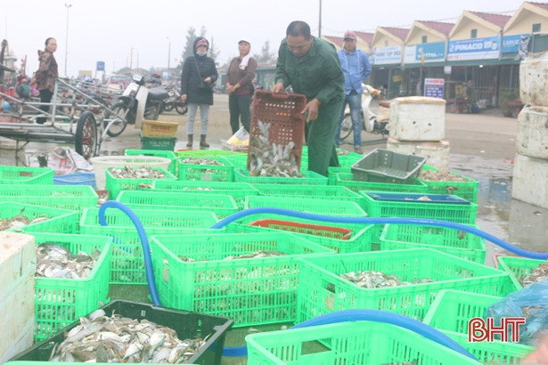 Hối hả những ngày cuối năm ở cảng cá Cửa Sót