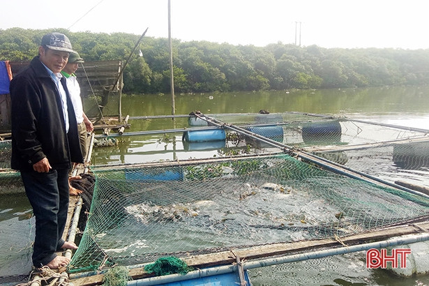 Nuôi cá lồng bè trên sông Đò Điệm, thu tiền tỷ dịp Tết