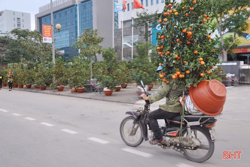 Cận cảnh những người chở Tết về nhà