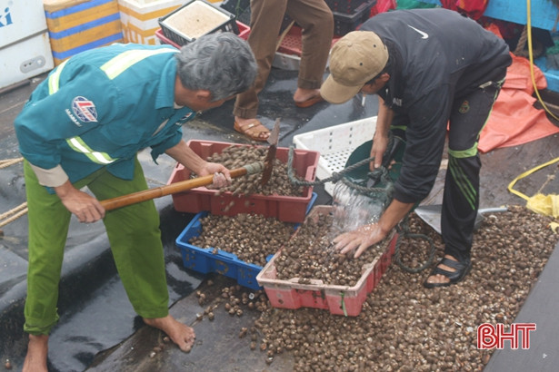 Hối hả những ngày cuối năm ở cảng cá Cửa Sót