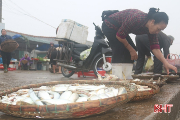 Hối hả những ngày cuối năm ở cảng cá Cửa Sót