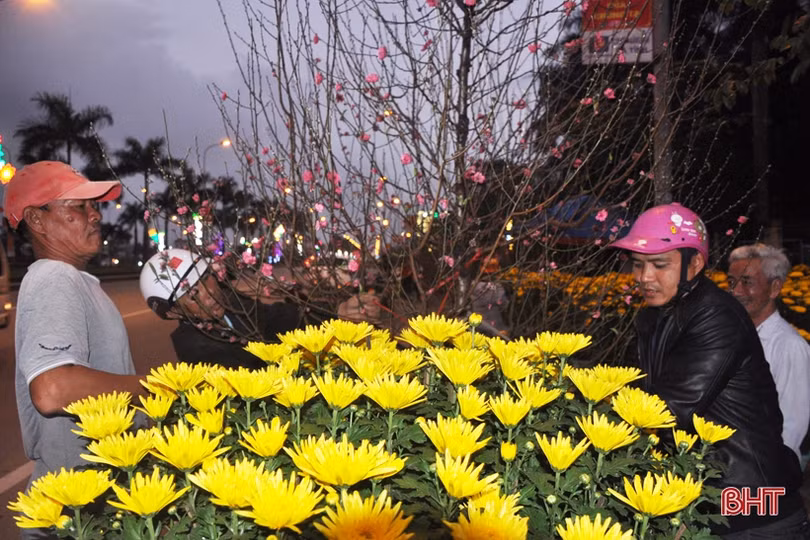 Cận cảnh những người chở Tết về nhà