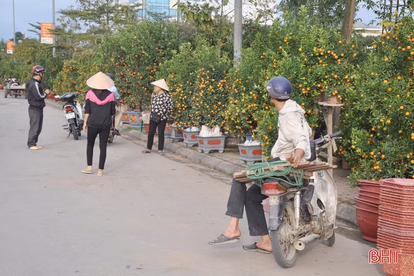 Cận cảnh những người chở Tết về nhà