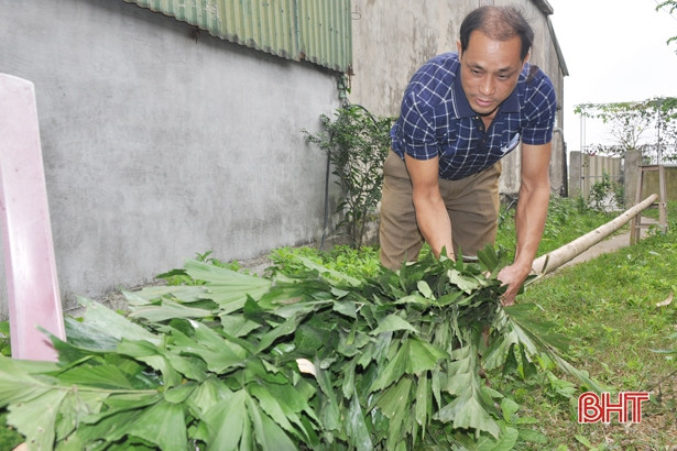 Người dân Hà Tĩnh háo hức dựng nêu đón Tết