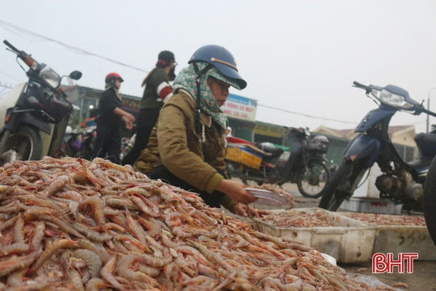 Hối hả những ngày cuối năm ở cảng cá Cửa Sót