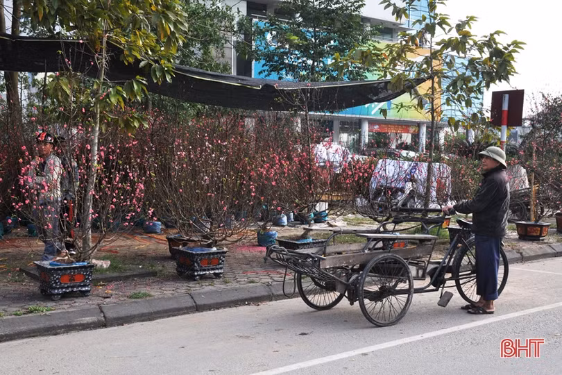 Cận cảnh những người chở Tết về nhà