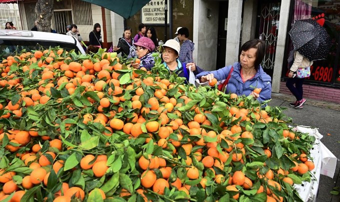 Không khí chào đón Tết Kỷ Hợi trên thế giới